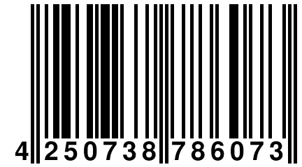 4 250738 786073