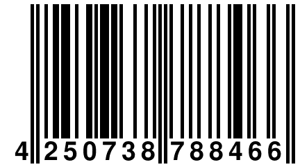 4 250738 788466