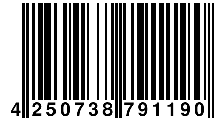 4 250738 791190