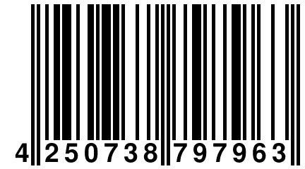 4 250738 797963