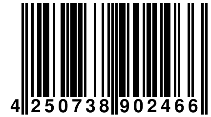 4 250738 902466