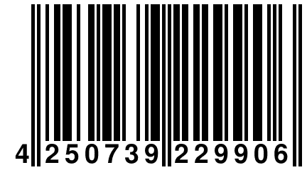 4 250739 229906