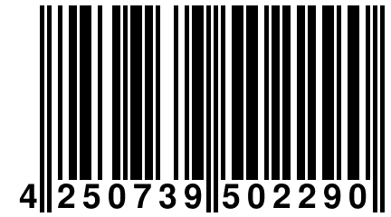 4 250739 502290