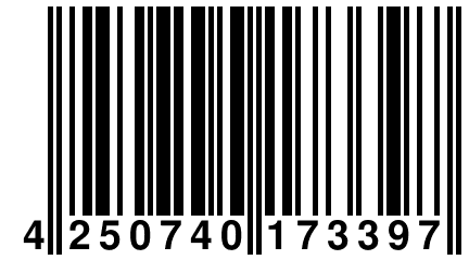 4 250740 173397