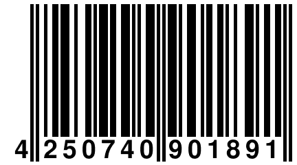 4 250740 901891