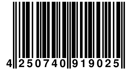 4 250740 919025