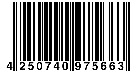 4 250740 975663