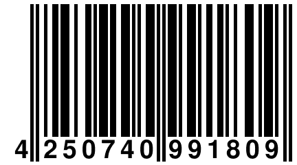 4 250740 991809