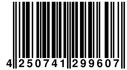 4 250741 299607