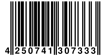 4 250741 307333