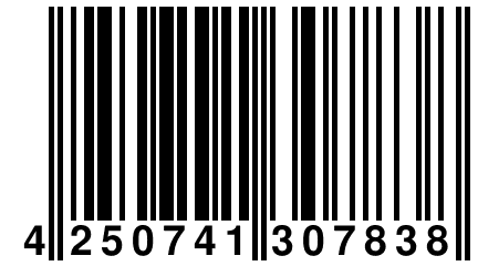 4 250741 307838