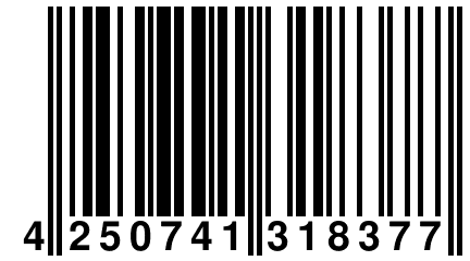 4 250741 318377