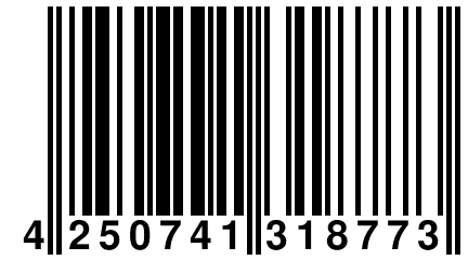 4 250741 318773