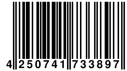 4 250741 733897