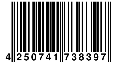 4 250741 738397