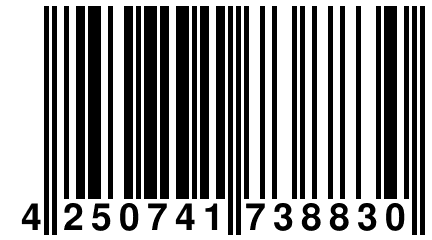 4 250741 738830