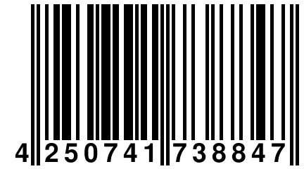 4 250741 738847