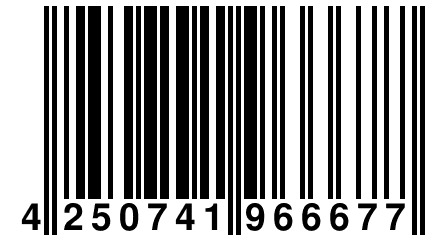 4 250741 966677