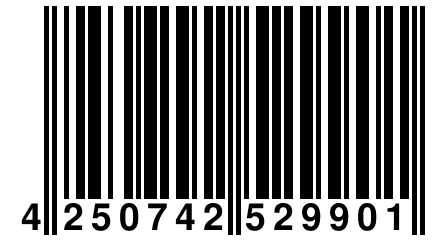 4 250742 529901