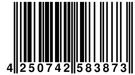 4 250742 583873