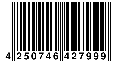 4 250746 427999