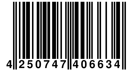 4 250747 406634