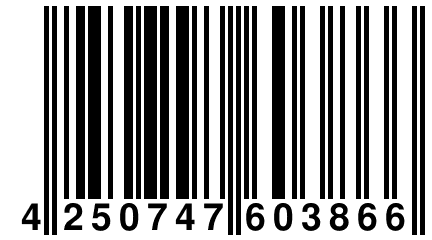 4 250747 603866