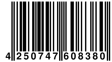 4 250747 608380