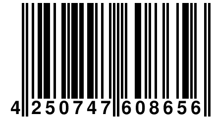 4 250747 608656