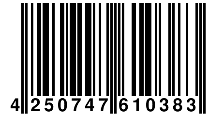 4 250747 610383