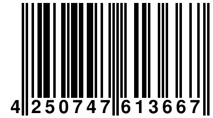 4 250747 613667