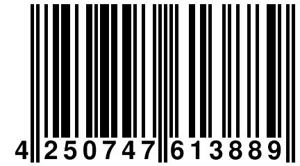 4 250747 613889