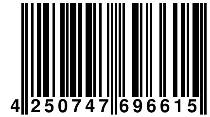 4 250747 696615