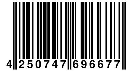 4 250747 696677