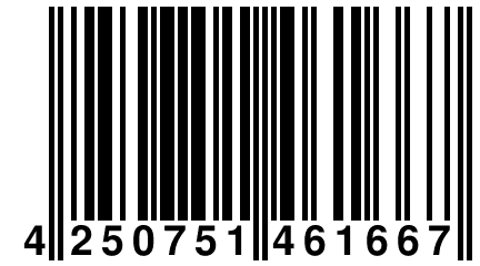 4 250751 461667