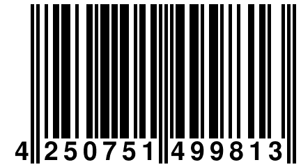 4 250751 499813