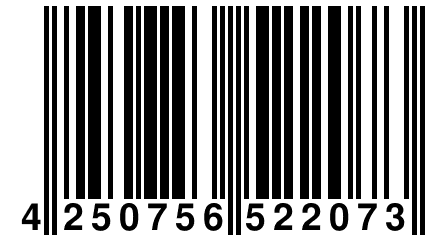 4 250756 522073