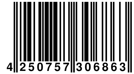 4 250757 306863