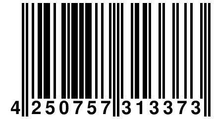 4 250757 313373