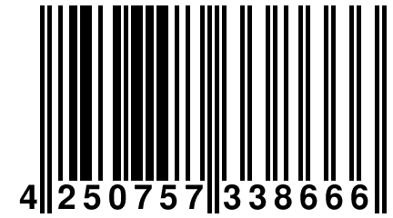 4 250757 338666