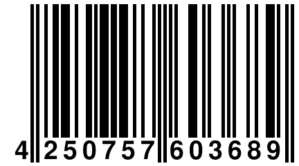 4 250757 603689