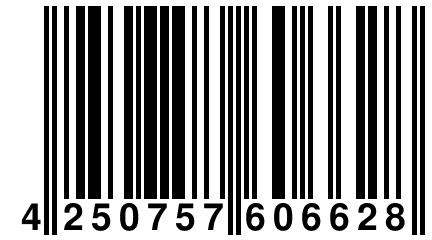 4 250757 606628