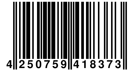 4 250759 418373