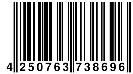 4 250763 738696