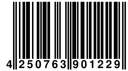 4 250763 901229