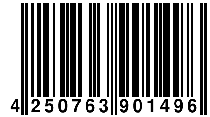 4 250763 901496