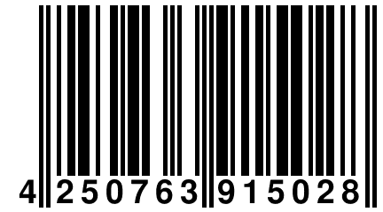 4 250763 915028