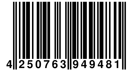 4 250763 949481