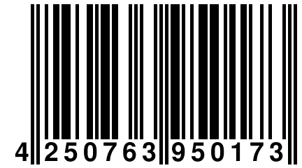 4 250763 950173