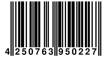 4 250763 950227